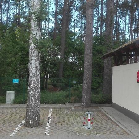 Baltic Apartament بوبيروفو المظهر الخارجي الصورة